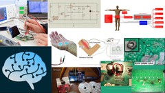 Udemy教程 – Electronics in Biomedical Engineering: Theory & Repair