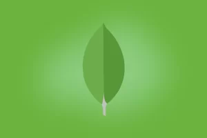amigoscode教程 – MongoDB