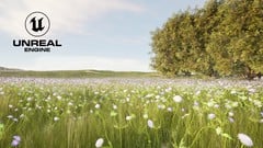 Udemy教程 – Unreal Engine 5: One Course Solution For Material