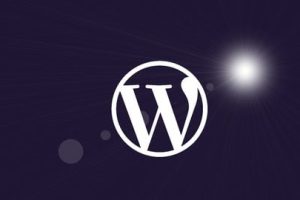 Udemy教程 – WordPress for Beginners – Master WordPress Quickly