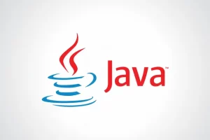 codewithmosh教程 – The Ultimate Java Mastery Series