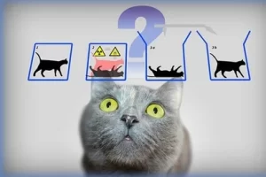 udemy – Quantum Physics: an overview of a weird world (Basics)