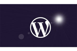 WordPress 初学者快速掌握 WordPress ( WordPress for Beginners Master WordPress Quickly )