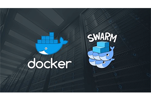 Docker Swarm 精通：DevOps 风格的集群编排 ( Docker Swarm Mastery: DevOps Style Cluster Orchestration )