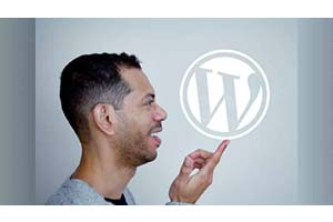 使用 Bootstrap 4 进行高级 WordPress 主题开发 ( Advanced WordPress Theme Development with Bootstrap 4 )