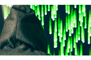 2019 年完整的道德黑客课程! ( The Complete Ethical Hacking Course for 2019! )