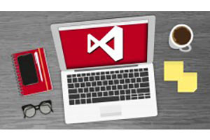 完整的 ASP NET MVC Web 开发 – 忍者新手！ ( Complete ASP NET MVC Web Development – Newbie to Ninja! )