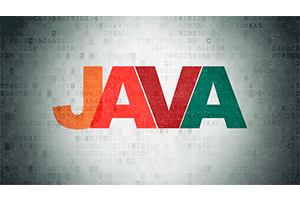 完整的 Java 认证课程 ( The Complete Java Certification Course )