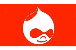 DRUPAL 教程： 年 8 个项目中的 Drupal 8 初级到高级 ( DRUPAL TUTORIAL: Drupal 8 Beginner to Advanced in 8 PROJECTS )