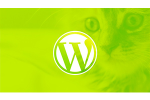 WordPress 初学者：逐步创建网站 ( WordPress for Beginners: Create a Website Step by Step )