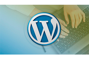 WordPress 插件开发 – 构建 14 个插件 ( WordPress Plugin Development – Build 14 Plugins )