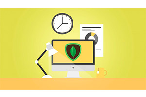 学习 MongoDB：从头开始领导 NoSQL 数据库 ( Learn MongoDB : Leading NoSQL Database from scratch )