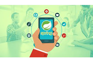 Spring MVC 初学者：25 步构建 Java Web App ( Spring MVC For Beginners : Build Java Web App in 25 Steps )