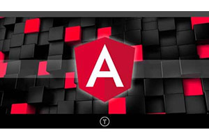 Angular Front To Back ( Angular Front To Back )