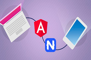 NativeScript + Angular：构建原生 iOS Android 和 Web 应用程序 ( NativeScript + Angular: Build Native iOS Android & Web Apps )