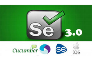 使用 Java 的 Selenium Webdriver（基础 + 高级 + 架构师） ( Selenium Webdriver with Java (Basics + Advance + Architect) )
