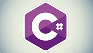 C# 基础知识：学习以正确的方式编码 ( C# Basics: Learn to Code the Right Way )