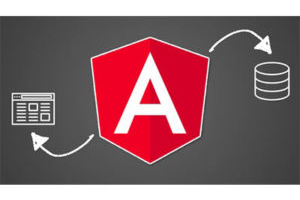 Angular（完整应用程序）与 Angular Material、Angularfire 和 NgRx ( Angular (Full App) with Angular Material, Angularfire & NgRx )