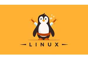 精通 Linux：在 11.5 小时内精通 Linux 命令行 ( Linux Mastery: Master the Linux Command Line in 11.5 Hours )