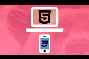 udemy教程 | Web Design for Beginners: Real World Coding in HTML & CSS