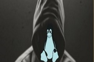 面向初学者的 Linux 权限升级 ( Linux Privilege Escalation for Beginners )