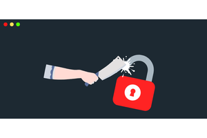道德黑客/渗透测试和漏洞赏金猎人 ( Ethical Hacking / Penetration Testing & Bug Bounty Hunting )
