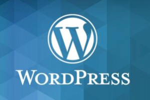 完整的 WordPress 网站课程 ( The Complete WordPress Website Course )