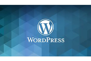 完整的 WordPress 网站商务课程 ( The Complete WordPress Website Business Course )