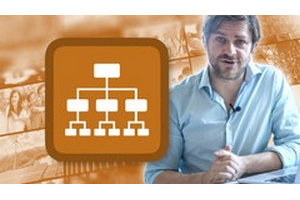 雅思循序渐进 |掌握语法 ( IELTS Step-by-step | Mastering Grammar )