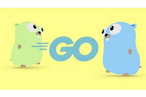 Go 训练营：通过 1000 多个练习和项目掌握 Golang ( Go Bootcamp: Master Golang with 1000+ Exercises and Projects )