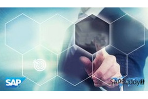 SAP 基础管理 ( SAP Basis Administration )