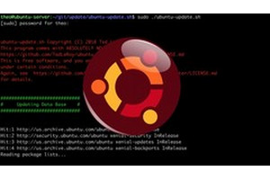 Ubuntu Linux 基础 Linux 服务器管理基础 ( Ubuntu Linux Fundamentals Linux Server Administration Basics )