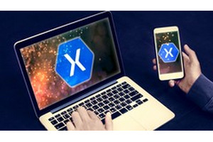 高级 Xamarin 开发者大师班 ( The Advanced Xamarin Developer Masterclass )
