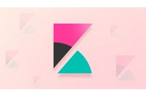 使用 Kibana 进行数据可视化 ( Data Visualization with Kibana )