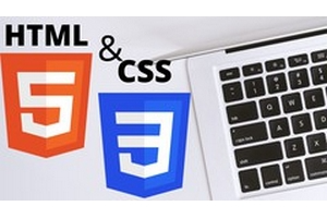 The Complete HTML&CSS Bootcamp 2021：从零到英雄 HTML&CSS ( The Complete HTML&CSS Bootcamp 2021: Zero to Hero HTML&CSS )