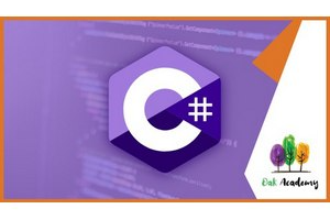 C# OOP 概念：将 C# OOP 概念应用于实际 C# 项目 ( C# OOP Concepts: Apply C# OOP Concepts On Real C# Projects )