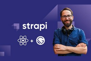 完整的 Strapi 课程 ( The Complete Strapi Course )