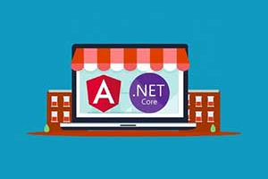 学习使用 .Net Core 和 Angular 构建电子商务应用程序 ( Learn to build an e-commerce app with .Net Core and Angular )