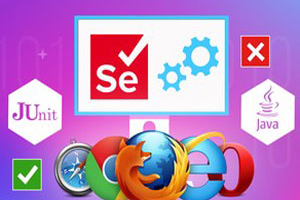 使用 C# 的 Selenium WebDriver 大师班 ( Selenium WebDriver Masterclass with C# )