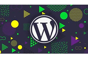 构建高级 WordPress 主题的完整指南 ( The Complete Guide to Building Premium WordPress Themes )