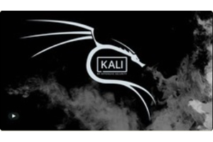 终极道德黑客和渗透测试 (UEH) ( Ultimate Ethical Hacking and Penetration Testing (UEH) )