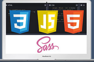 使用 HTML、CSS、Sass、JavaScript 等构建令人惊叹的网站 ( Build Amazing Websites w/ HTML, CSS, Sass, JavaScript & More )