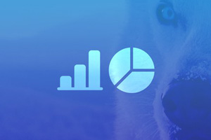 MySQL 初学者：真正的数据库体验真正快速 ( MySQL For Beginners: Real Database Experience Real Fast )