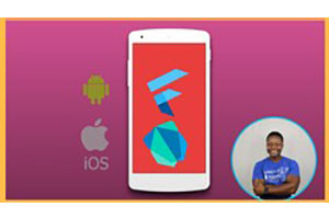 Flutter & Dart – 完整的 Flutter 应用程序开发课程 / ( Flutter & Dart – The Complete Flutter App Development Course / )