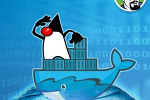 面向 Java 开发人员的 Docker ( Docker for Java Developers )