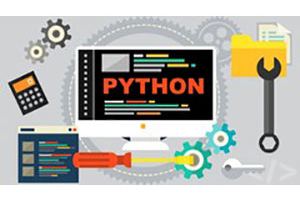 Python 编程训练营 ( Python Programming Bootcamp )