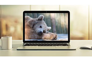 Hibernate：高级开发技术 ( Hibernate: Advanced Development Techniques )