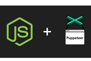 使用 Puppeteer 进行自动化软件测试 ( Automated Software Testing with Puppeteer )