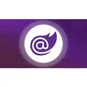 使用 Blazor (.NET Core 3.1) 构建真实世界的应用程序 ( Build Real world application ...