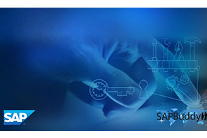 SAP 安全管理 ( SAP Security Administration )